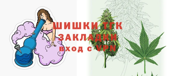 прущие грибы Верхнеуральск