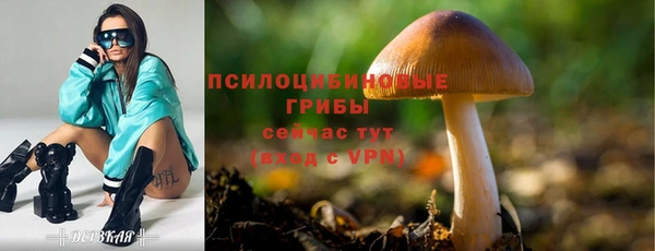 MESCALINE Верея