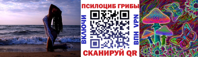 Псилоцибиновые грибы прущие грибы  наркотики  ссылка на мегу ONION  Калязин 